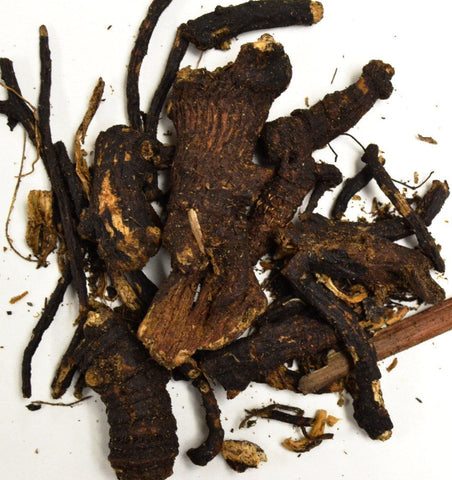 Osha Root - Dragon Herbarium