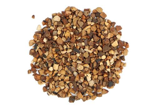 Kola Nut (Cola Nut) - Dragon Herbarium