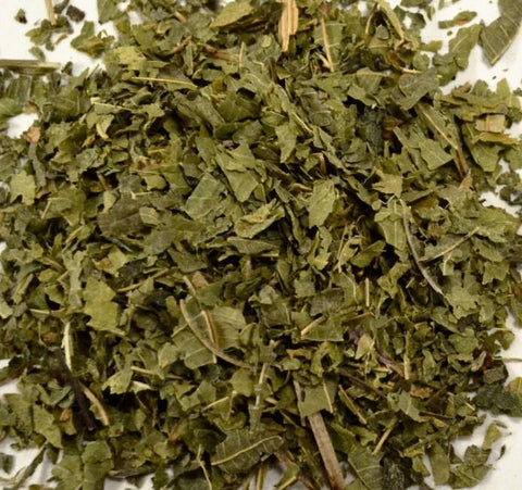 Lemon Verbena - Dragon Herbarium