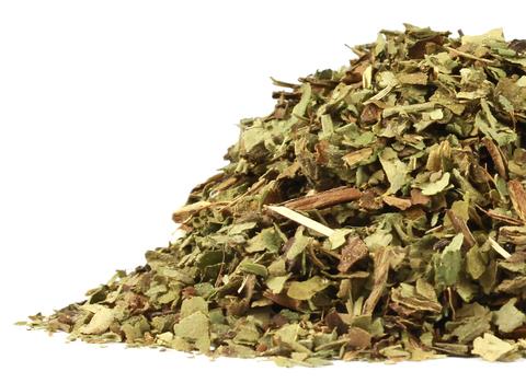 Lungwort - Dragon Herbarium