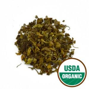 Holy Basil (Krishna) - Dragon Herbarium