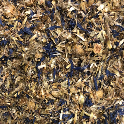 Cornflower
