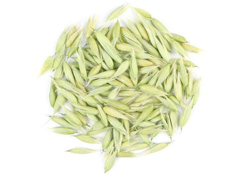 Oat Tops - Dragon Herbarium