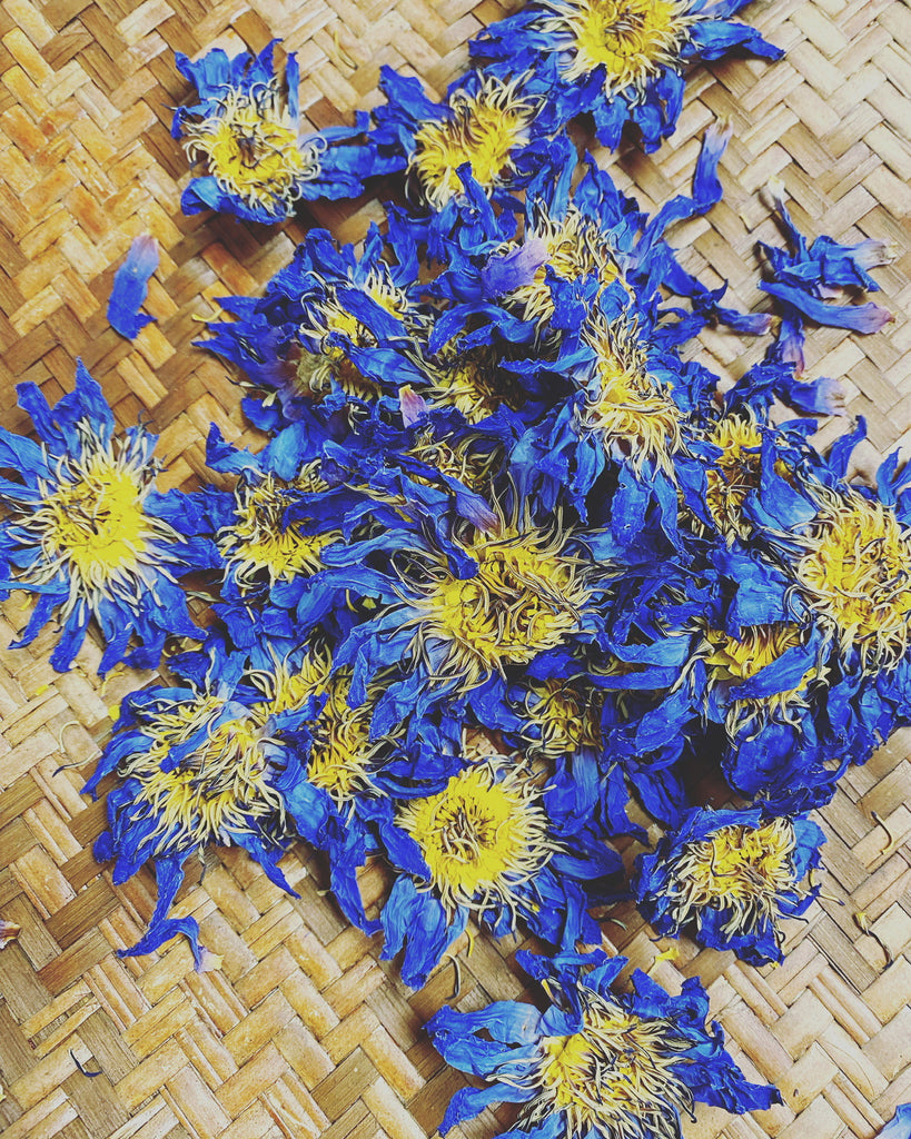 Exploring the Enchanting Blue Lotus Flower: Symbolism, History, and Benefits