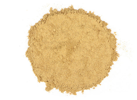 Mesquite Powder - Dragon Herbarium