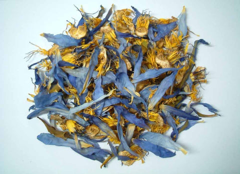 Blue Lotus Flower - Dragon Herbarium