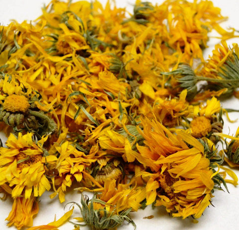 Calendula - Dragon Herbarium