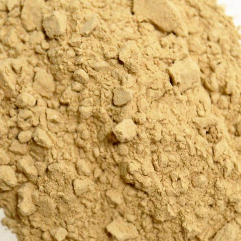 Dong Quai Root Powder - Dragon Herbarium