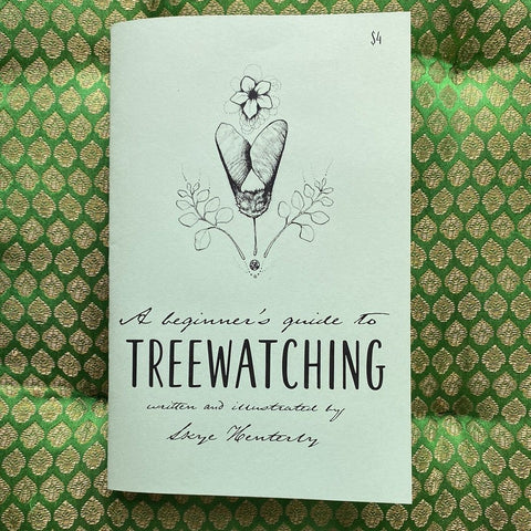 A Beginners Guide To Treewatching
