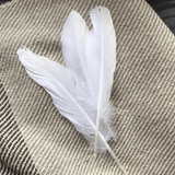 Feathers - Natural & Dyed