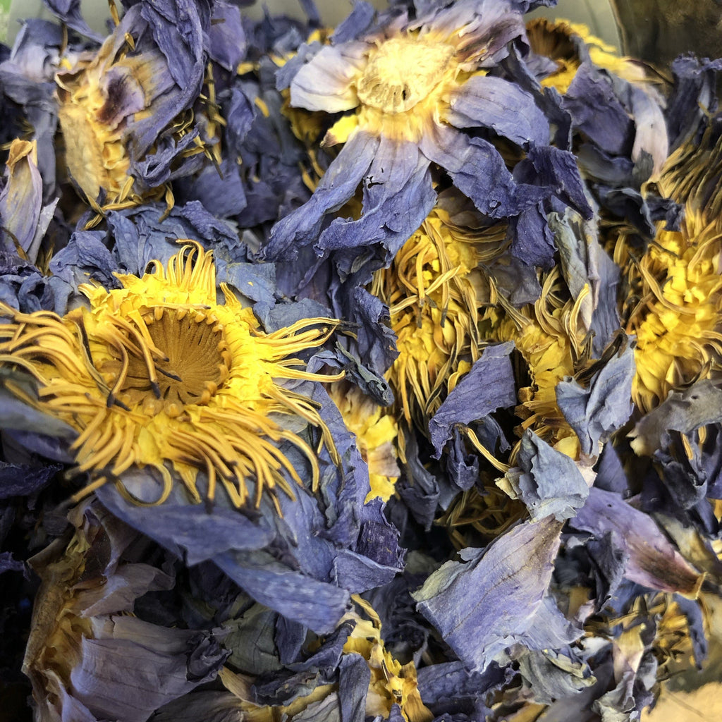 Blue Egyptian Lotus Flowers in Full Bloom Water Lily Tea Dried Nymphaea  Caerulea - Dragon Tea House