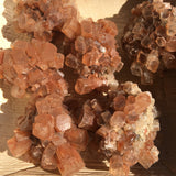 Aragonite Sputnik Raw