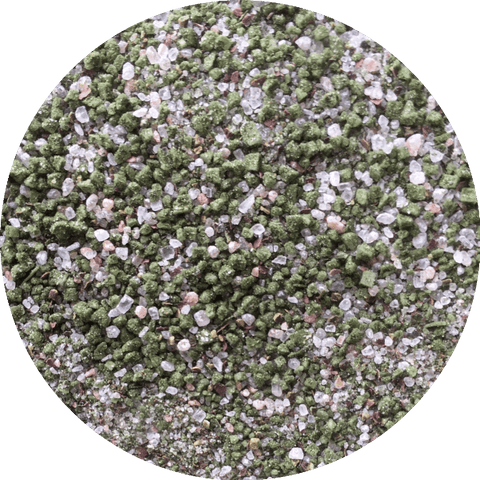 Seaweed Nutritive Salt Blend - Dragon Herbarium